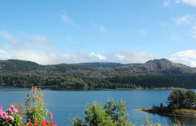 Blåbærhytta - Foto 17