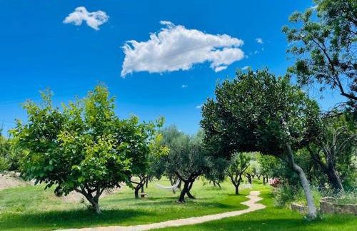 Villa Jardines de Guara - Foto 7
