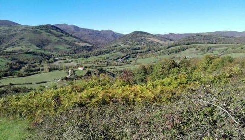 Casa Artegia - Foto 5