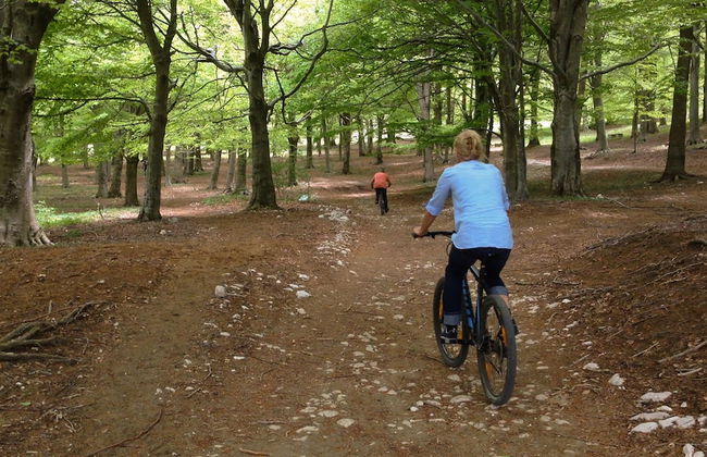 Agriturismo Falode - Foto 10