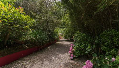 Mulino di Castelvecchio - Foto 4