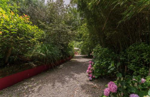 Mulino di Castelvecchio - Foto 4