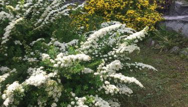 Villa Lucia appartamento Fiore - Foto 3, Garden, Garden view