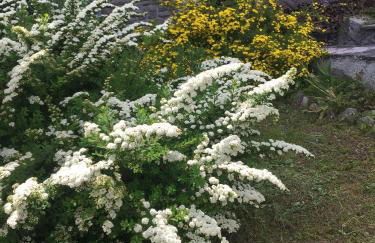 Villa Lucia appartamento Fiore - Photo 3