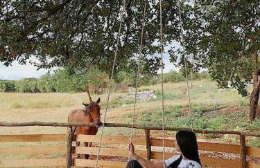 The Treehouse of The Dragon - Foto 27