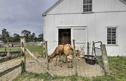 Charming Farmhouse with Pool and Fishing Pond! - Foto 39