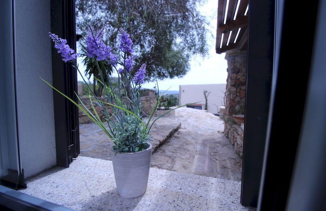 Villa Magdala in La Maddalena - Photo 31