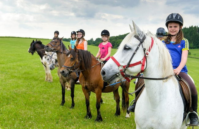 Nengshof - Haus Königskerze - Photo 16