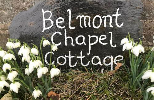 Belmont Chapel Cottage - Photo 48