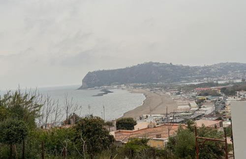 L'orchidea del faro - Foto 33