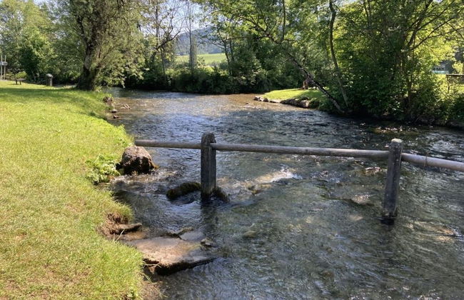 Holiday Apartment Rosi Denz - Photo 15