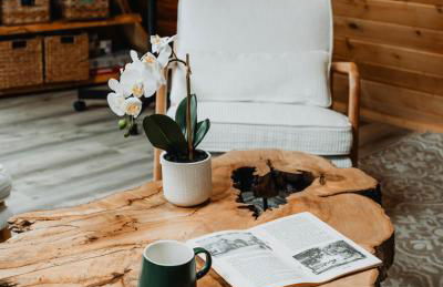 Rustic Escape UTV, Tub, Trails & Fire Pit 25 acre - Foto 51