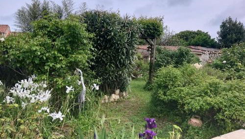 Maison Althea Rosea - 3 chambres et piscine - Foto 4, Garden