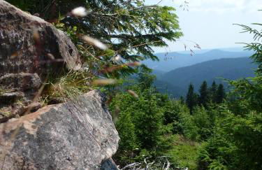 Ferienwohnung Schwarzwaldsteig - Foto 32