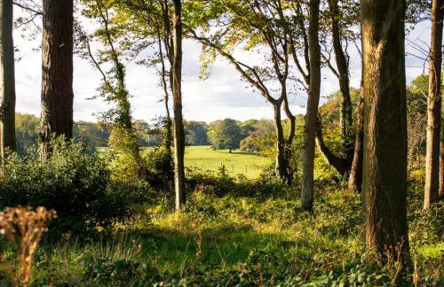 Murmur y Coed - Foto 16