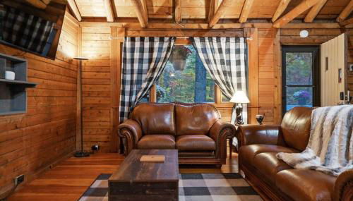 Cozy Bear-Themed Mountain Cabin, Relaxing Hot Tub - Foto 5
