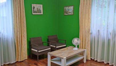 Dom na Kaszubach nad Jeziorem Gowidlińskim - całoroczny - Foto 4, Other