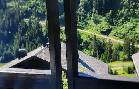 Alpage Immo Location Service - Foto 60