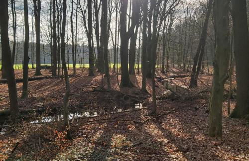 Apartment in upper floor in nature reserve. - Foto 29