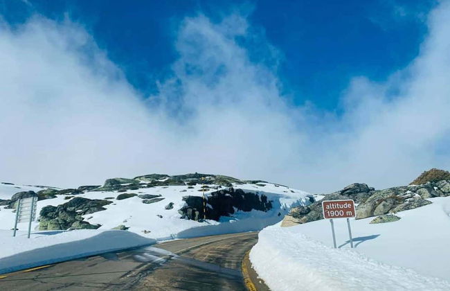 Serra da Estrela Day Trip - Photo 8