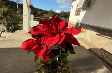 La Blanca de Aroche 10 personas - Foto 26