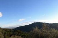 Agriturismo Il Pino - Foto 74