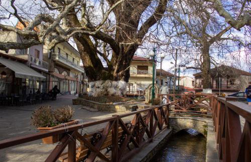 Square House - Foto 16