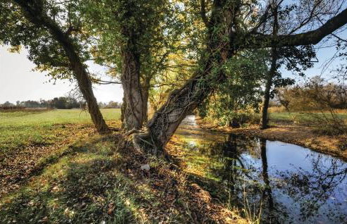 Gorgeous Home In Muc Gornji - Photo 24