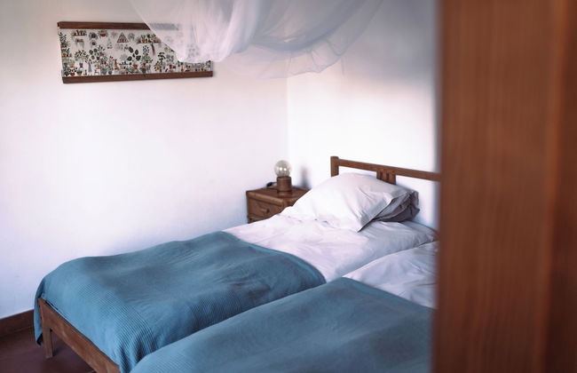 João Jungle - Foto 24