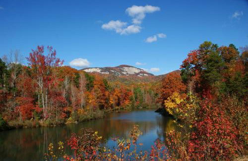 Black Bear Hideaway - Foto 19