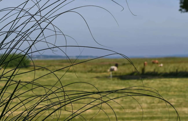 Welcoming Holiday Home by the Baltic Sea - Foto 17