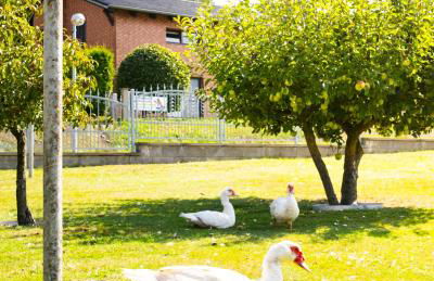 Maisonette FeWo im Haus Liane - Ferienhof by Baltic Home - Foto 28