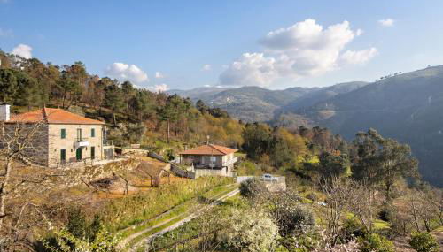 Quintinha De Pinouco - Foto 5