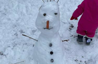 Chalet chaleureux l’hospitalet près l’andorre . - Foto 28