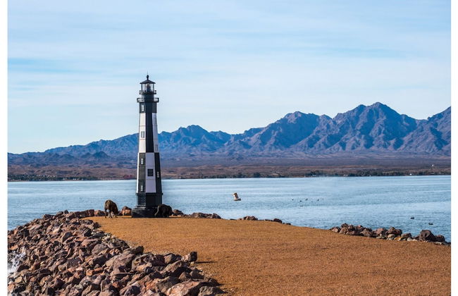 690 Avenida Laredo - Foto 49