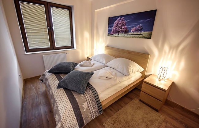 Apartamenty Sun & Snow Zielony Zdrój - Foto 19