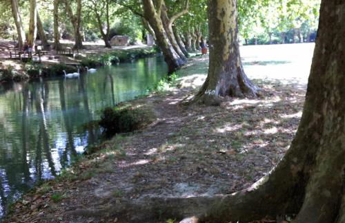 gite les oliviers 10 pers piscine au calme 4 Etoiles - Foto 47