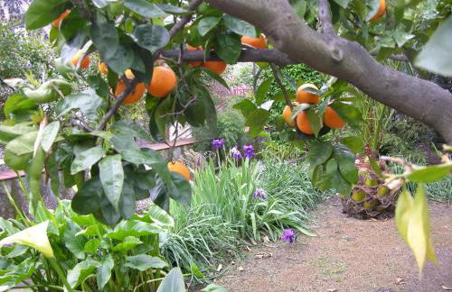 Il Giardino - accomodation - Foto 9