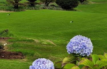 Maison avec vue exceptionnelle sur l'océan - 5 mn du centre ville - Foto 21