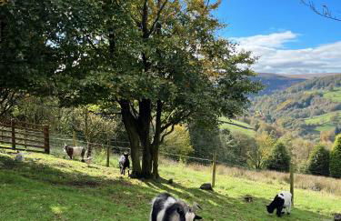 Weather Hill Cottage, Hebden Bridge - Foto 21