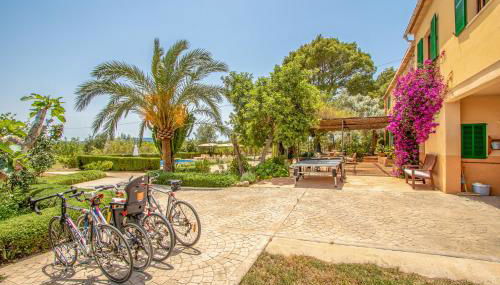 Binissalem - 3523-90 Mallorca - Foto 5, Garden, Garden view