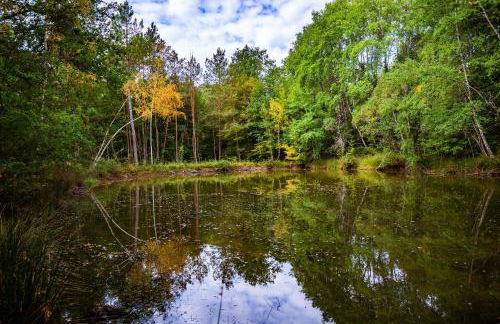 La Sellerie - Foto 20