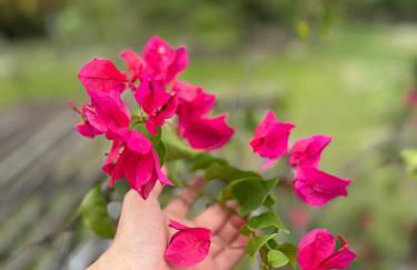 Sítio Encanto do Delta - Photo 51