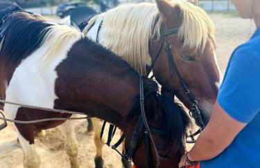 Casinha do Amor - Foto 15