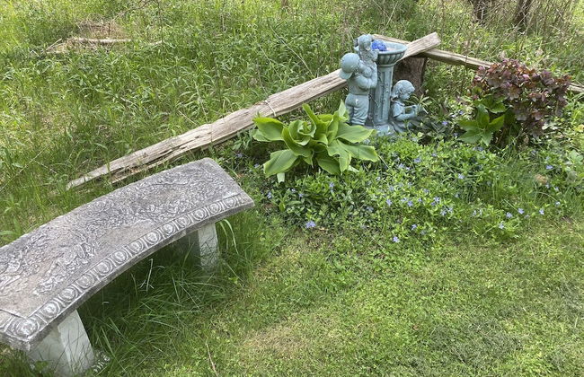 Dreamers Writing Farm - Foto 78