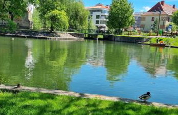 Apartment Zamkowa Park - Foto 12