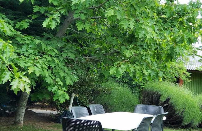 Cabañas la Chacra - Foto 35