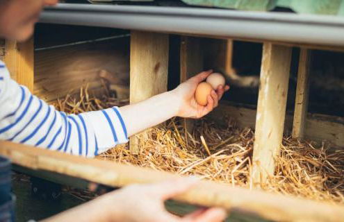 Moulin du Roz - Foto 23