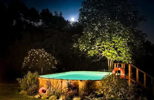 Raggio di sole, oasi di felicità - Foto 5