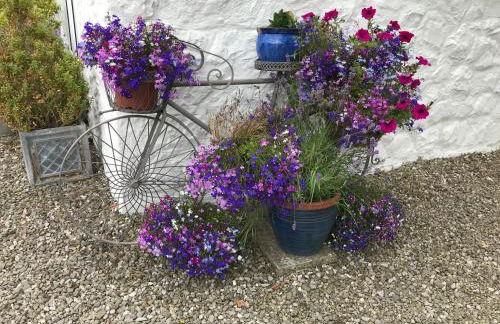 Shepherds Hut in the Hills - Nr. Mold - Foto 12